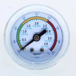 Termomanmetro autoclave 12L e 21L dabi/d700/gnatus/saevo